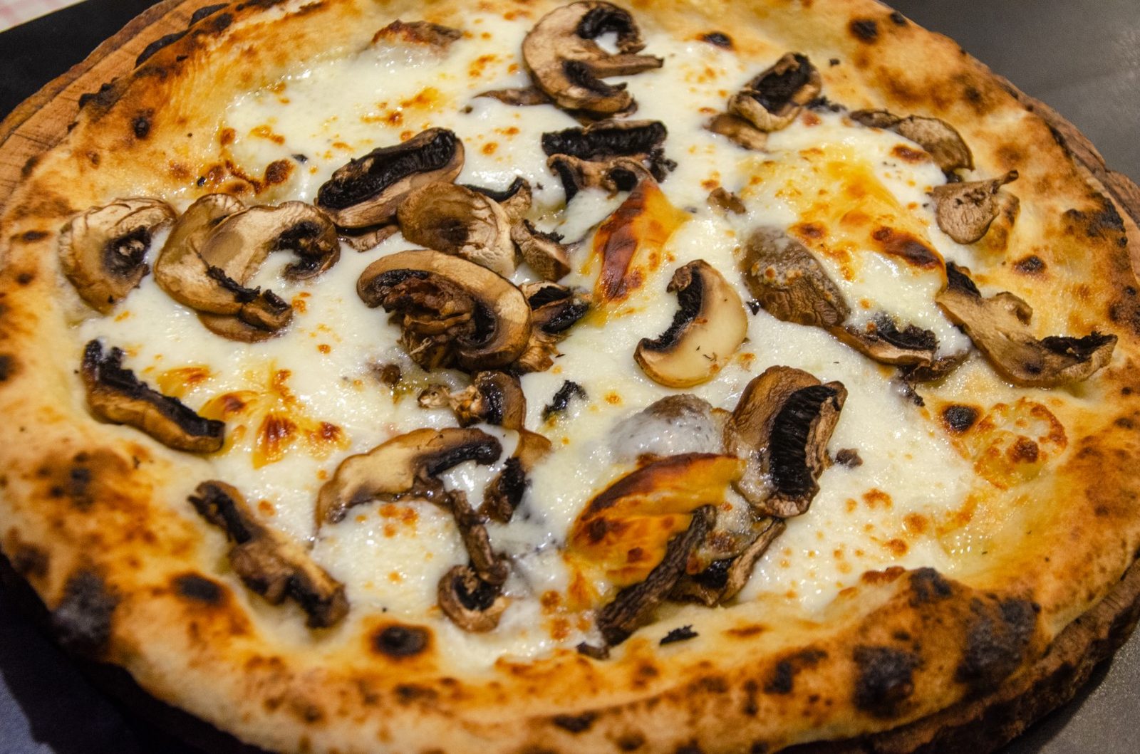 White pizza with mushrooms at Pizza on Fire